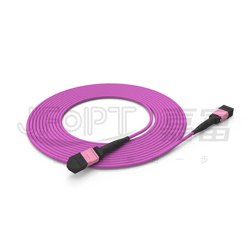 100G MTP पैच कॉर्ड 24 कोर मल्टीमोड OM4 50/125 LSZH 3.0-4.0mm हीदर वायलेट जम्पर
