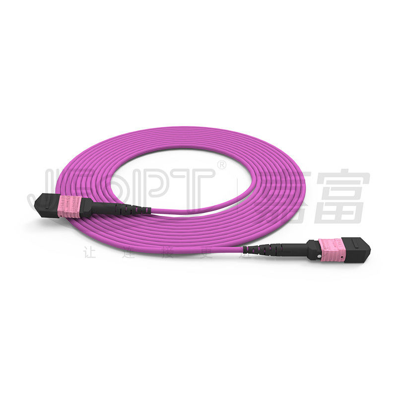 100G MTP पैच कॉर्ड 24 कोर मल्टीमोड OM4 50/125 LSZH 3.0-4.0mm हीदर वायलेट जम्पर