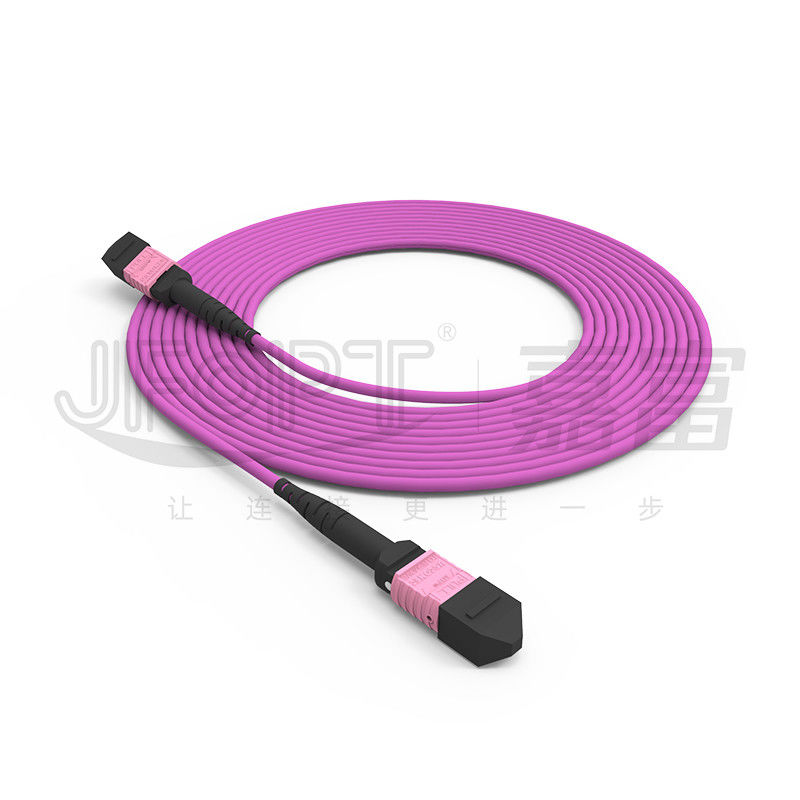 100G MTP पैच कॉर्ड 24 कोर मल्टीमोड OM4 50/125 LSZH 3.0-4.0mm हीदर वायलेट जम्पर