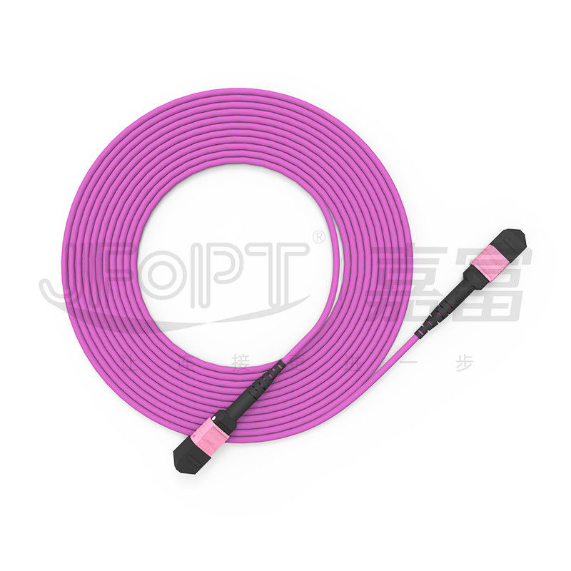 100G MTP पैच कॉर्ड 24 कोर मल्टीमोड OM4 50/125 LSZH 3.0-4.0mm हीदर वायलेट जम्पर
